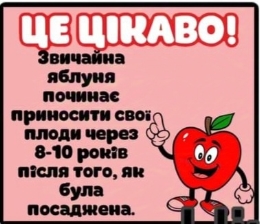 D:\Дом.завдання\Відео виховних заходів 3 клас\4 КЛАС\21 жовтня День яблука\Матеріал для уроку\зображення_viber_2024-10-28_14-16-30-897.jpg